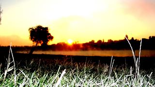 Moara Vlasiei 2 6 - 6 oct.